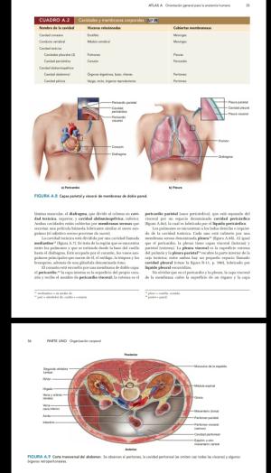 Kenneth S . Saladin- Anatomia y fisiología  La unidad entre forma y función